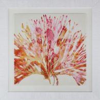 Modern Abstract Coral 2 37.5W x 37.5H