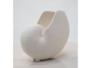 Small Nautilus Shell Vase