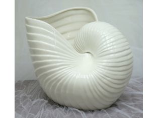 Large Nautilus Shell Vase 